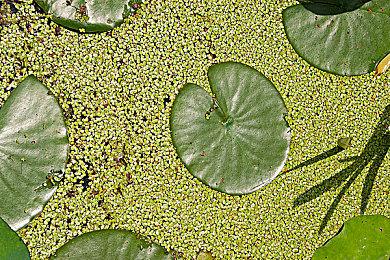 《黑客帝国：觉醒》PC版展示：交通高峰期艺术摄影