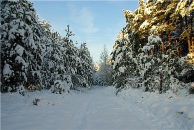 知名法国发行商浮世Focus修改品牌名称