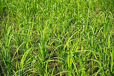 传腾讯正大举收购海外游戏公司 尤其是欧洲