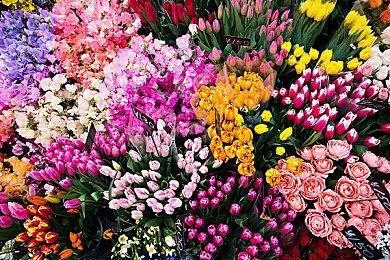 超级人类superpeople启动报错＆卡画面＆进不去游戏怎么办？